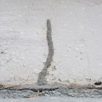 Subterranean Termite Droppings