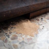Drywood Termite Droppings