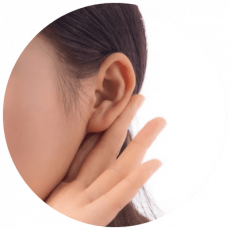 Termite Signs (5) Termite Signs (5)