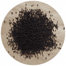 Termite Signs (6) Termite Signs (6)